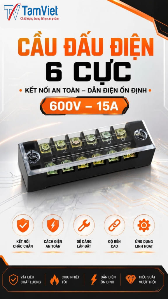 Cầu Đấu Điện 6 Cực